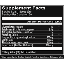 Load image into Gallery viewer, Big Noise Pump - 1 TEMPLE NUTRITION