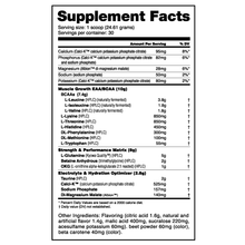 Load image into Gallery viewer, Intra Blast BCAA - 1 TEMPLE NUTRITION